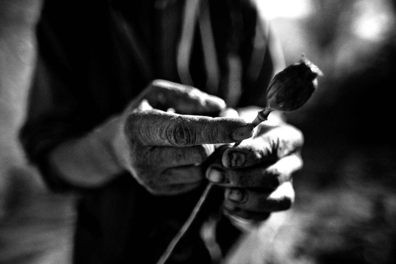 Opium for the children