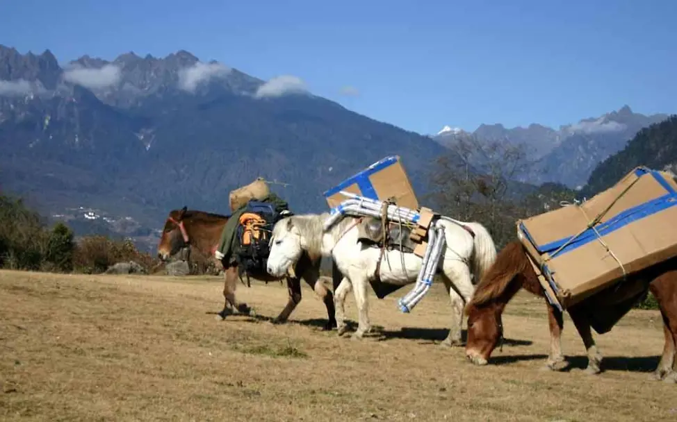 Kein Weg ist zu weit Jedes Projekt wird erreicht?