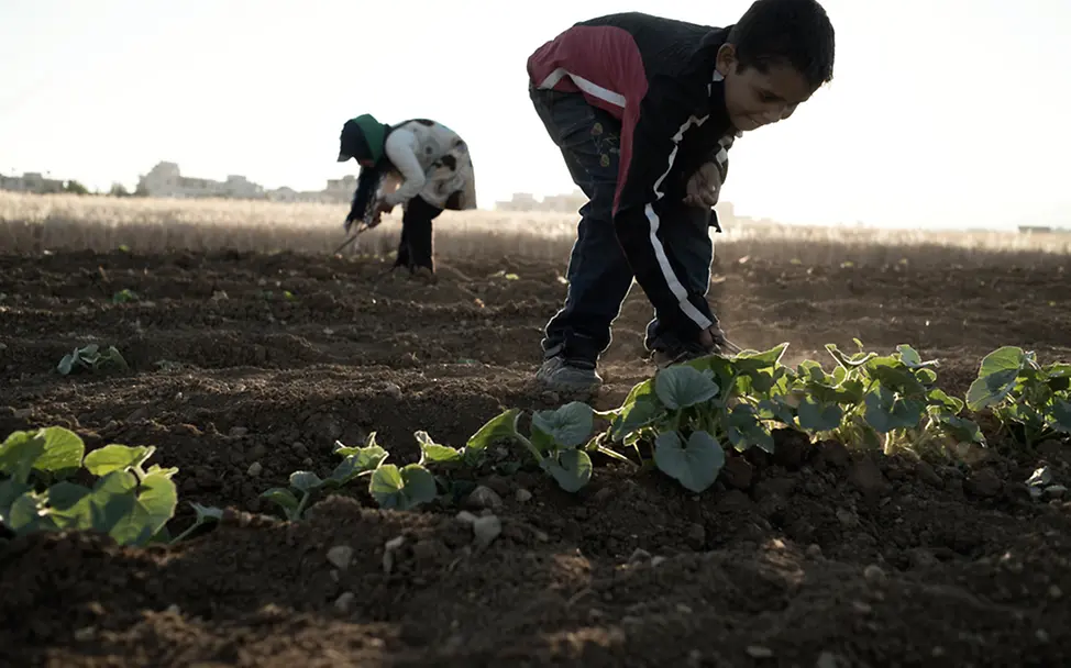 Mohamad, 11, hilft seiner Familie bei den Erntearbeiten im Libanon.