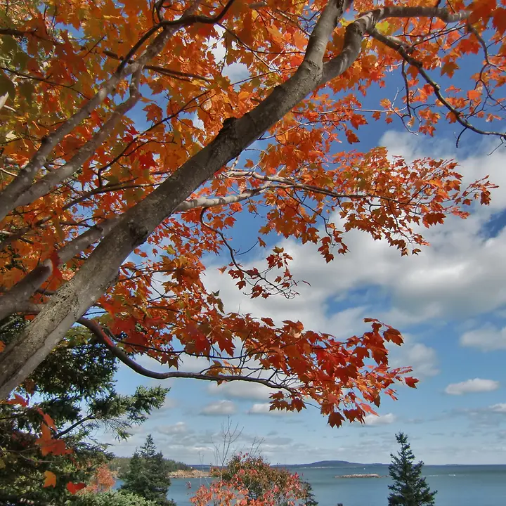 Neuer Inhalt (1) Neuer Inhalt (1)