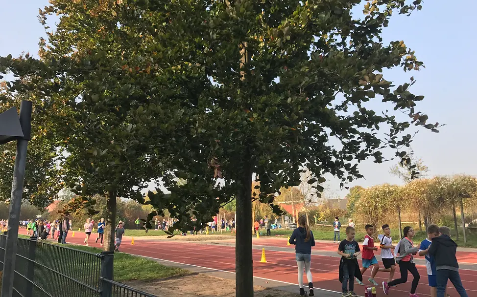 Teilstrecke der 556m-langen Runde © UNICEF Berlin Neuer Inhalt