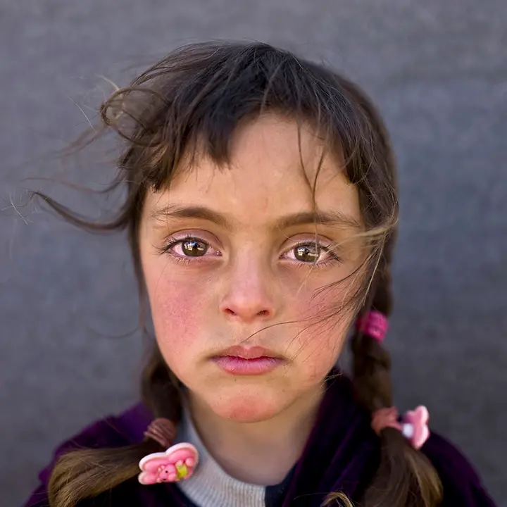 Foto des Jahres 2017 Foto des Jahres 2017