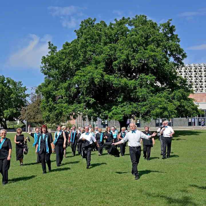 20140720-Ensemble-Musica-Chemnitz-Chorfoto