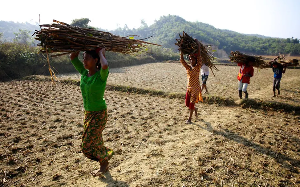 Kinderarbeit: Rohingya-Mädchen holen Brennholz für ihre Familien
