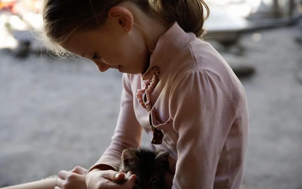 Sasha liebt ihre sechs Kätzchen. | © UNICEF/Morris VII Photo Sasha kuschelt mit ihrem Lieblingskätzchen Mitiay.
