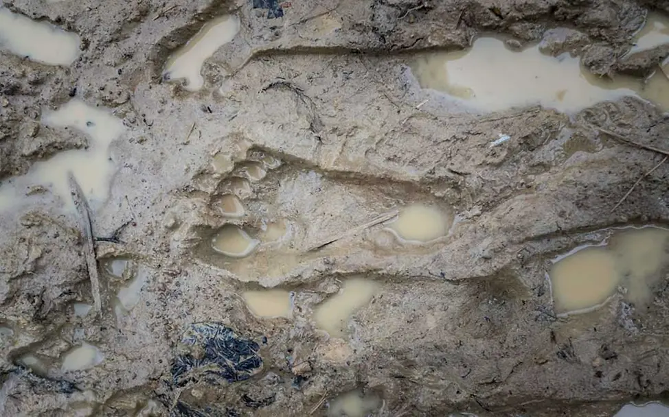 Abdrücke von Kinderfüßen im Schlamm im Monsun in Bangladesch | © UNICEF/Nybo Monsun in Bangladesch 2019: Der Abdruck eines Kinderfußes im Schlamm