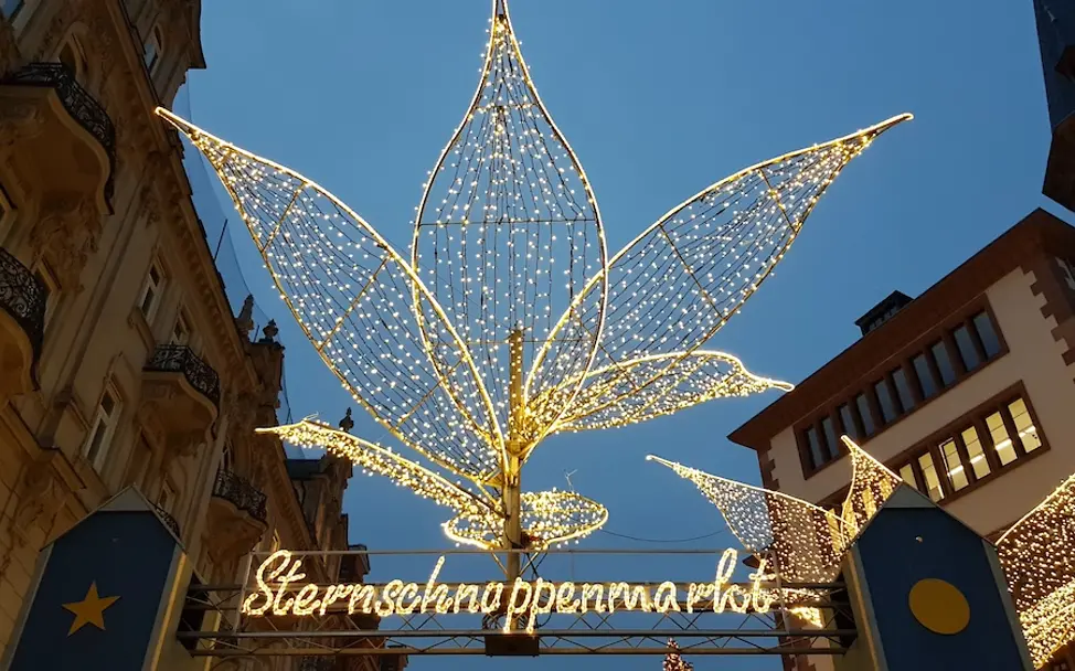 Sternschnuppenmarkt 2019 (2) Sternschnuppenmarkt 2019 (2)