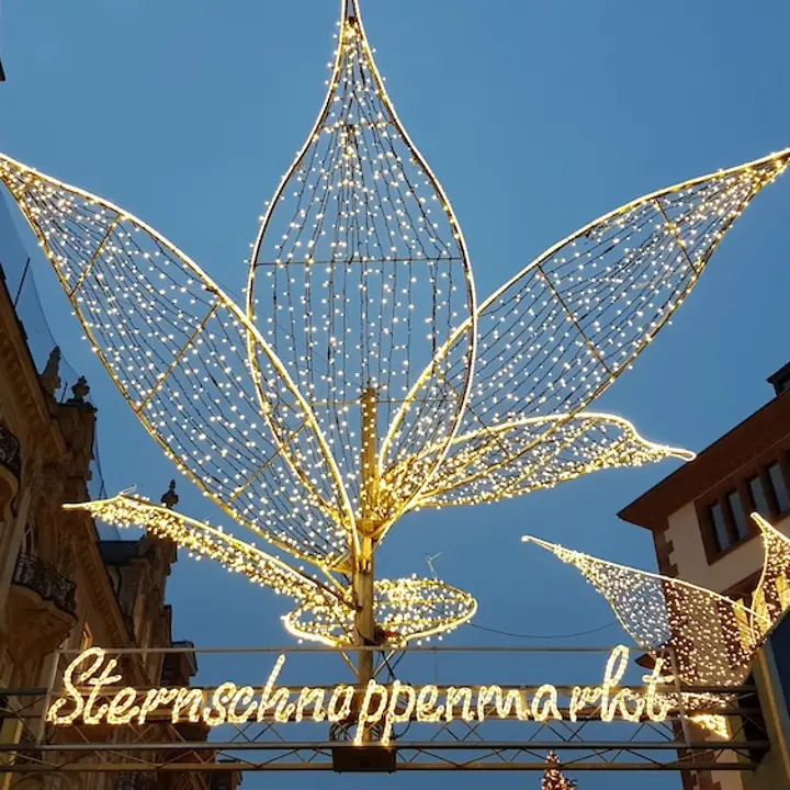 Sternschnuppenmarkt 2019 (2) Sternschnuppenmarkt 2019 (2)