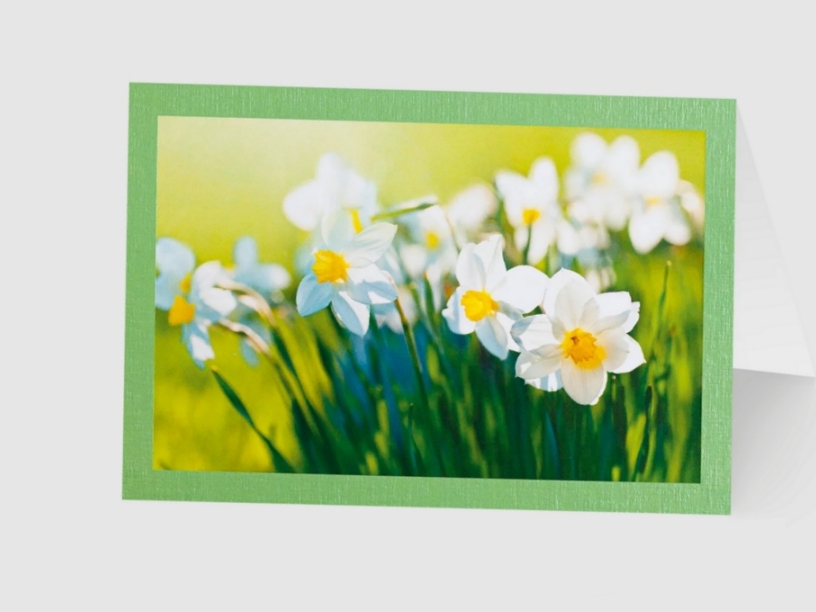 Grußkarte aus dem Set „Erste Frühjahrsblüten“