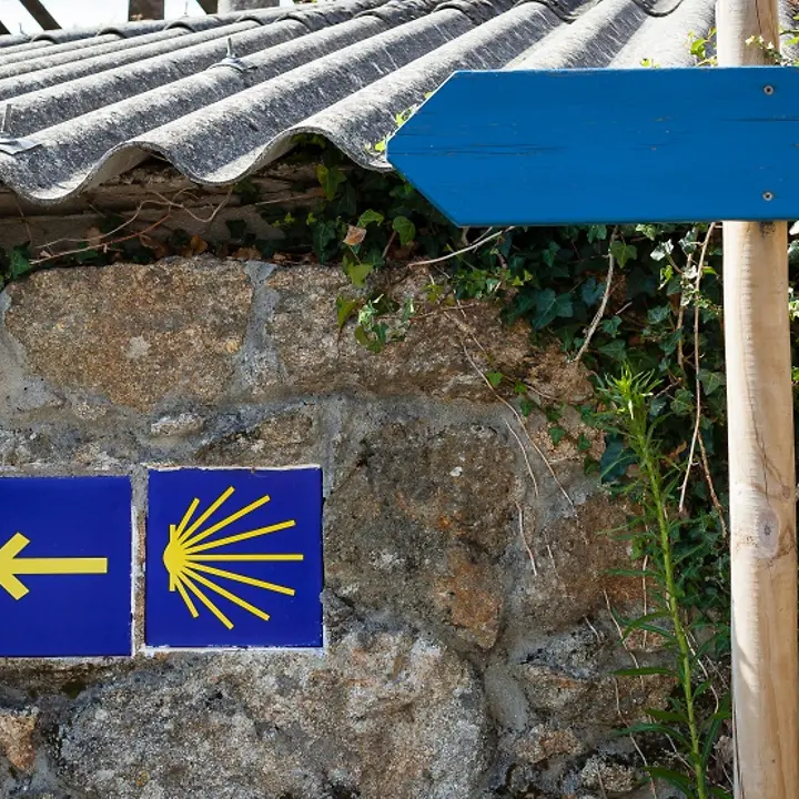 Jakobsmuschel der Wegweiser für den Camino