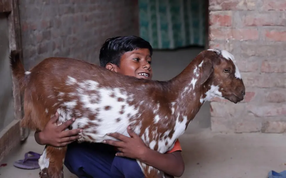 Eine Hilfsorganisation überließ Israils Familie zwei Ziegen.