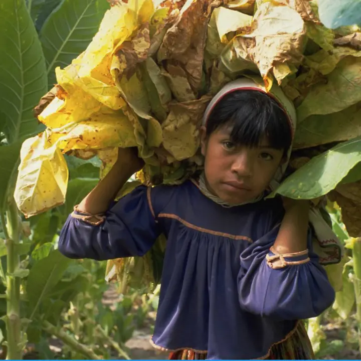 Bildschirmfoto 2021-05-03 um 12.12.01