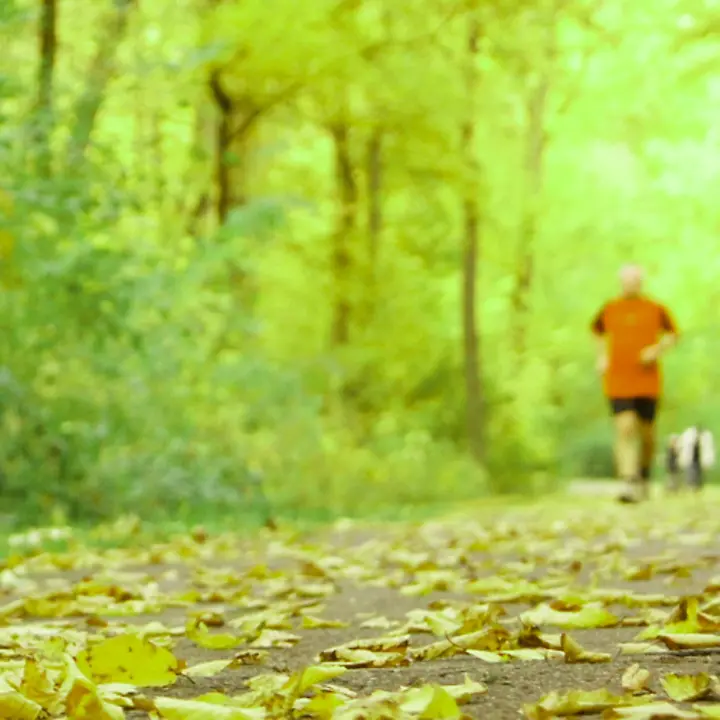 Familienlauf-Unicef_Header