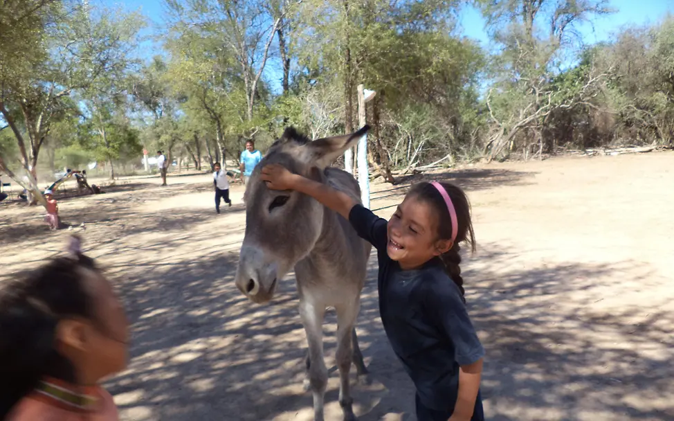 Kinder fotografieren ihre Welt Argentinien: Kinder fotografieren ihre Welt. Projekt 'Eye See' | UNICEF Blog