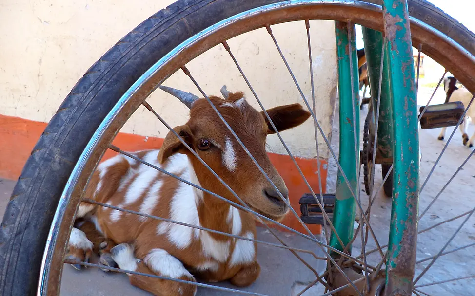 Viel gelernt im Foto-Workshop Argentinien: Kinder fotografieren ihre Welt. Projekt 'Eye See' | UNICEF Blog