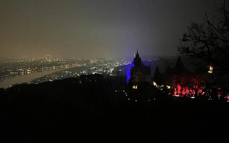 WhatsApp Image 2021-11-20 at 23.54.02