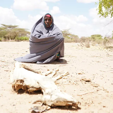Ein Bauer kniet vor dem Kadaver seiner Kuh. | © UNICEF/Hedemann Ein Bauer kniet vor dem Kadaver seiner Kuh.
