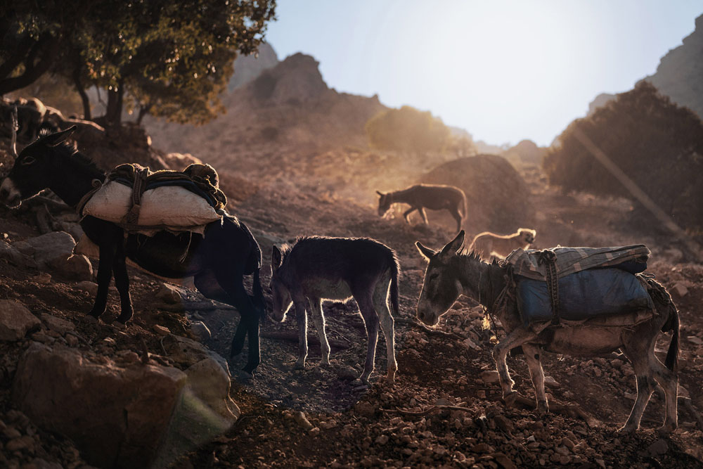 Iran: Unterwegs in der Tradition