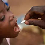 entwurmungstabletten-nebenbild-3