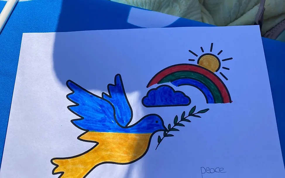 Neuer Inhalt (2) Neuer Inhalt (2)