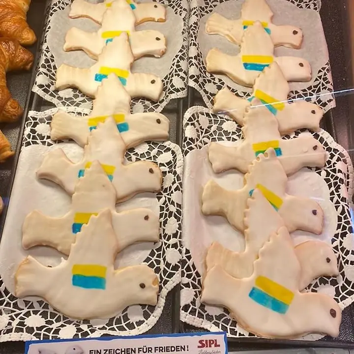 IMG-20220430-WA0004 freidenstauben 2