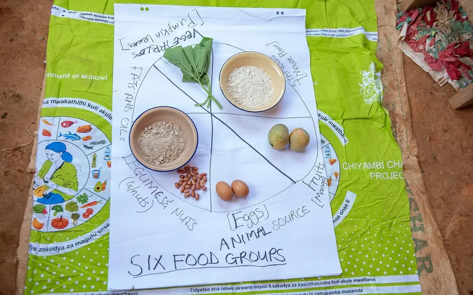 UNICEF: Nahrhafte Ernährung | © UNICEF/UNI280936 UNICEF: Schaubild zu gesunder Ernährung