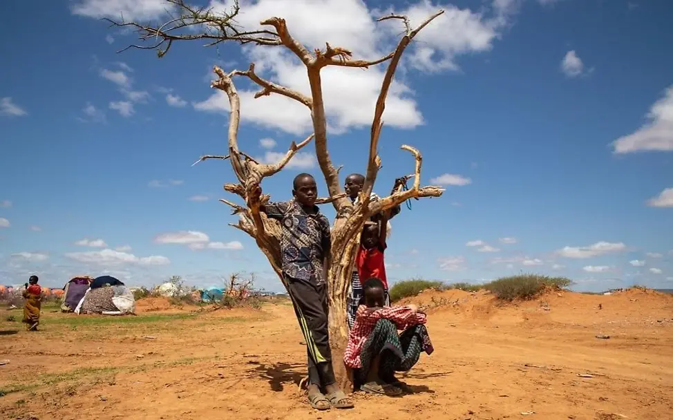 Die Dürre in Äthiopien trifft die Bevölkerung hart. | © UNICEF/Pouget Kinder sitzen in einem vertrockneten Baum.
