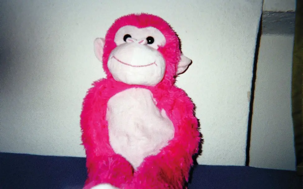 Geflüchtete in Deutschland: Ein Kind hat sein liebstes Stofftier abgelichtet | © UNICEF/anonymous Geflüchtete in Deutschland: Ein Kind hat sein liebstes Stofftier abgelichtet.