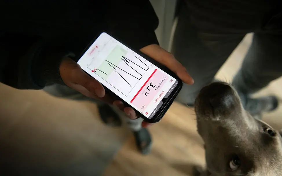 Deutschland: Johannes‘ Schwester hat vier Beine