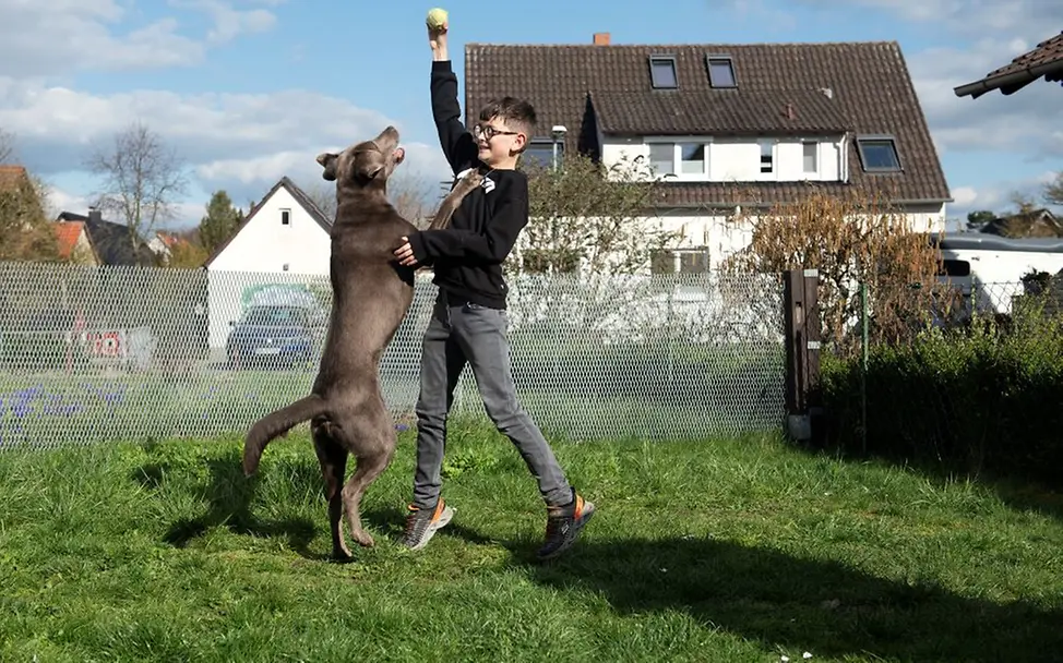 Deutschland: Johannes‘ Schwester hat vier Beine