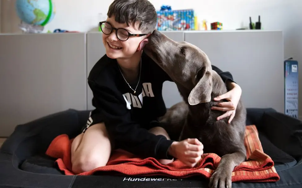 Deutschland: Johannes‘ Schwester hat vier Beine