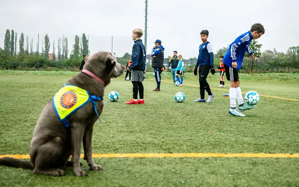 Germany: Johannes’ four-legged sister