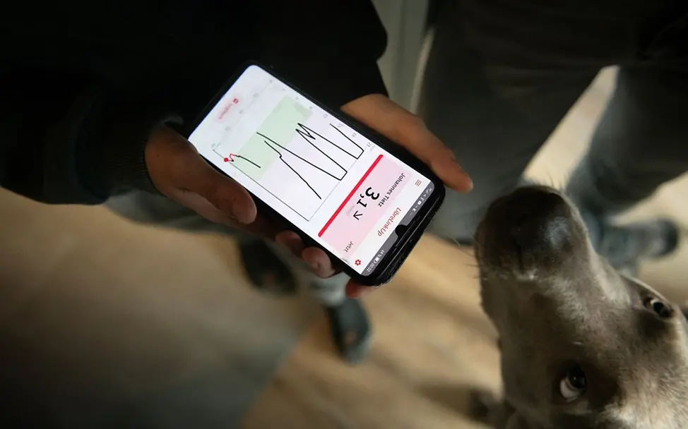 Germany: Johannes’ four-legged sister