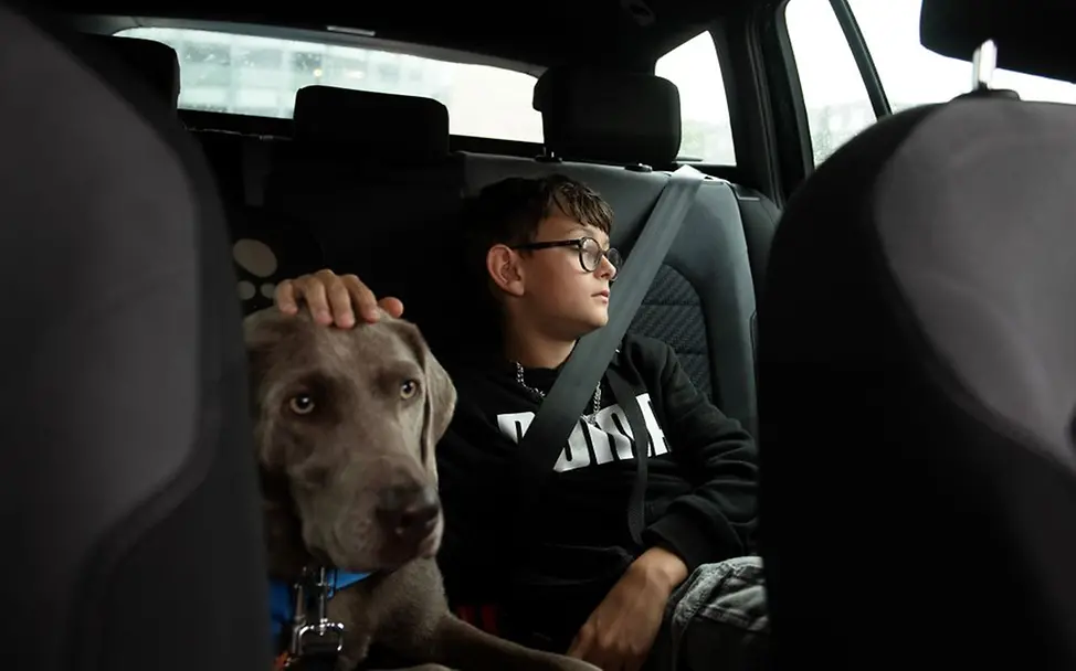 Germany: Johannes’ four-legged sister