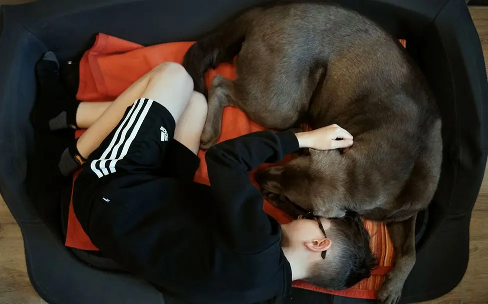 Germany: Johannes’ four-legged sister