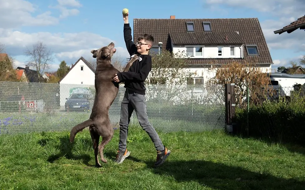 Germany: Johannes’ four-legged sister