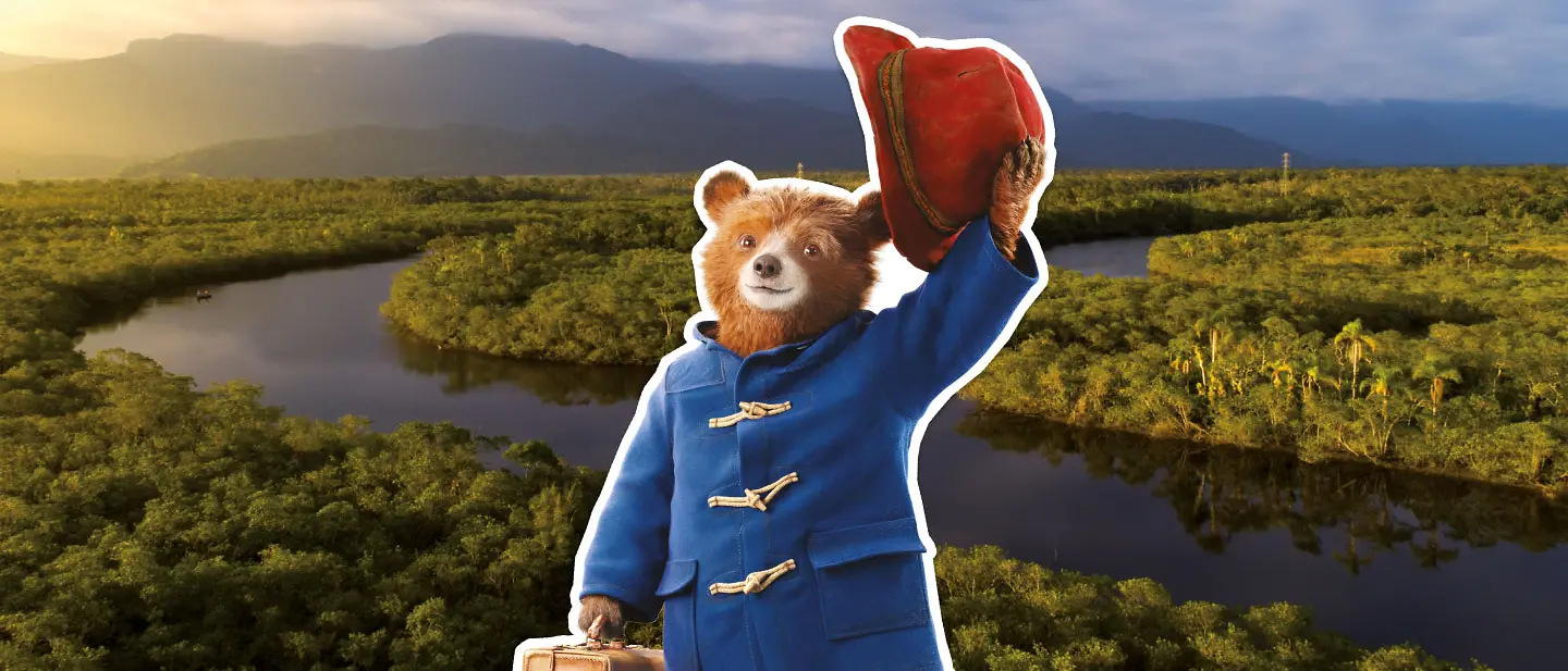 Der Bär Paddington steht mit Koffer in der Tatze in einem Jungle und hebt zum Gruß den Hut.