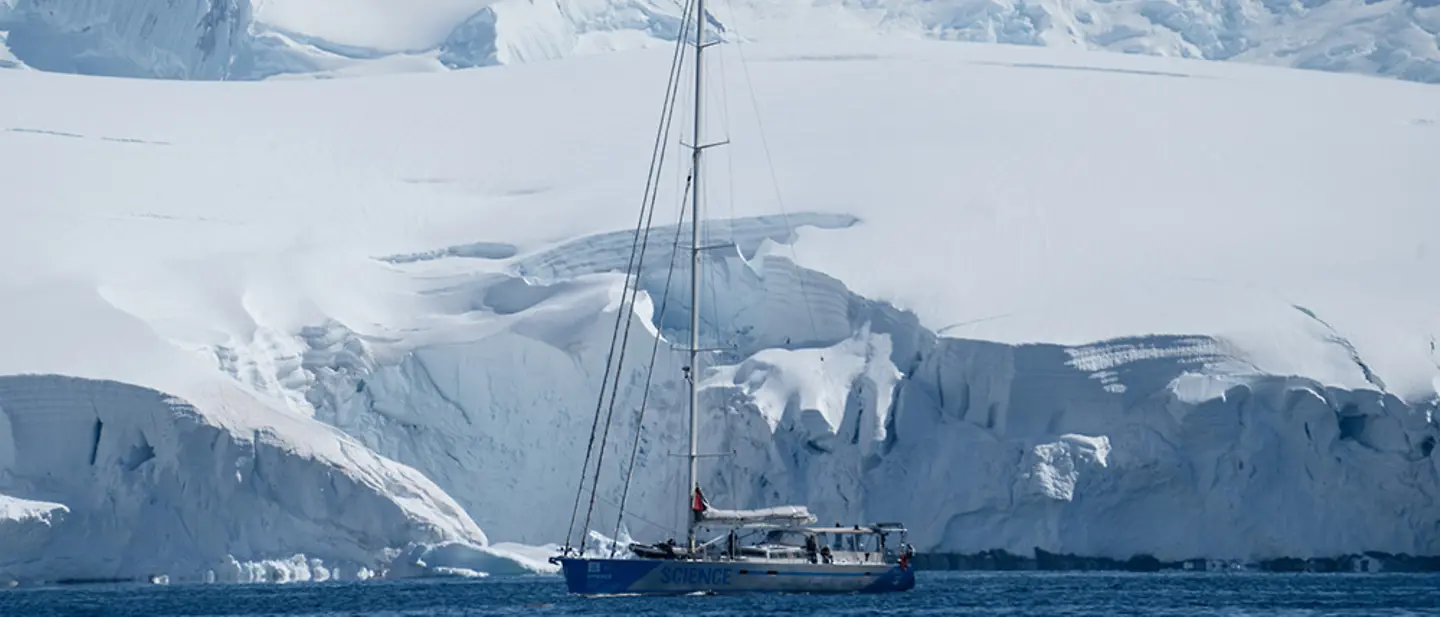 World Ocean Day: Segelboot auf dem Meer