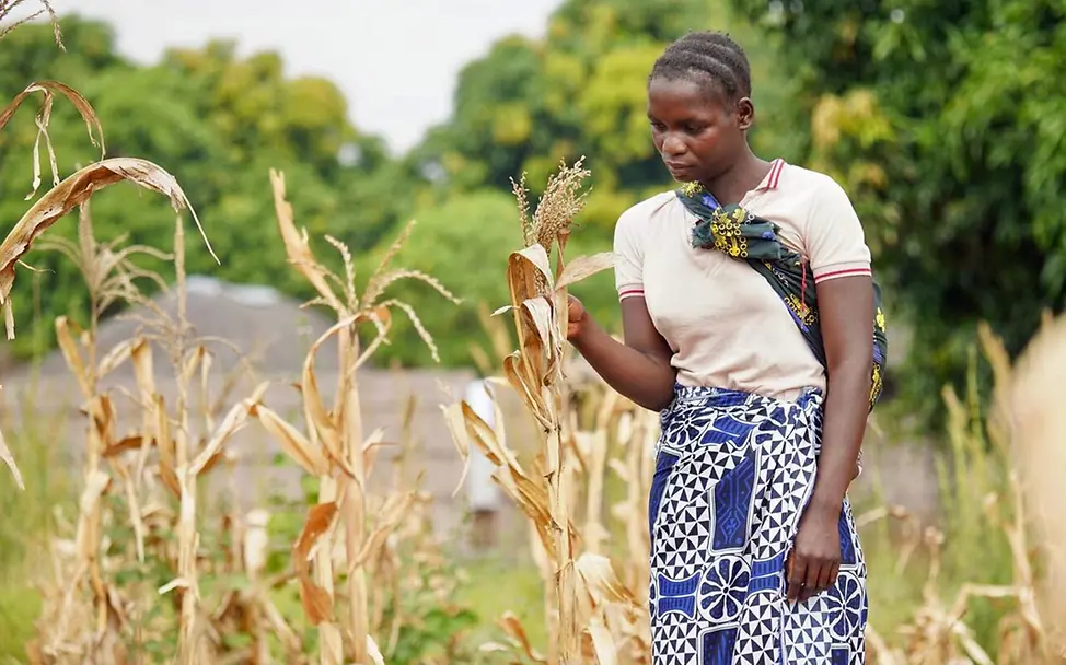 Sambia Wasser: Durch eine schwere Dürre fehlt es an Wasser und ganze Ernten fallen aus 