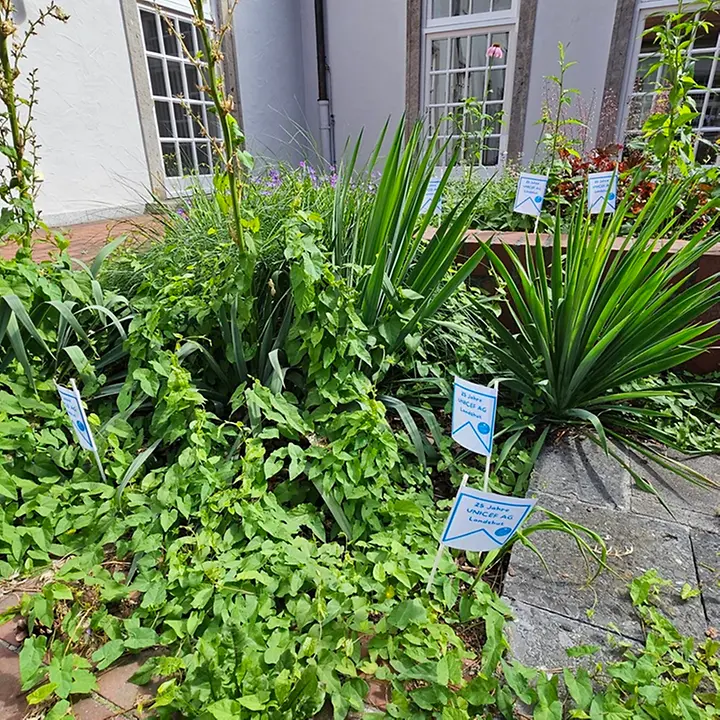 Innenhof der Musikschule © UNICEF-AG Landshut/Karin Erbe