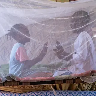 Moskitonetze im Sudan_UNI816431 Moskitonetze im Sudan_UNI816431