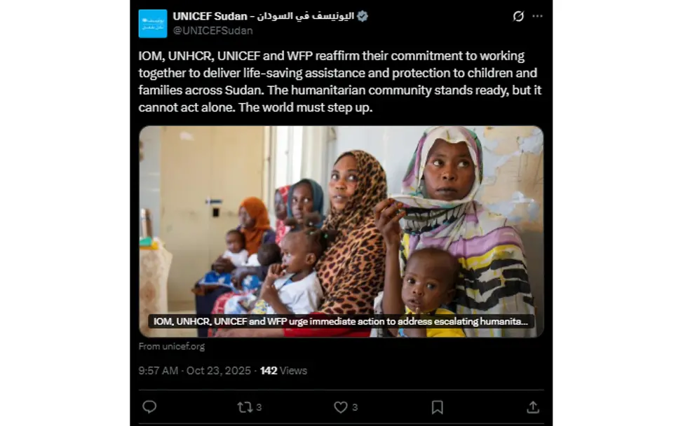 UNICEF Sudan Post