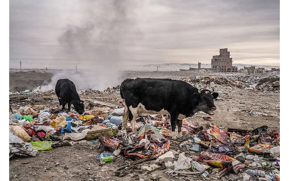 Mongolia: Mongolia’s children at risk: The devastating impact of air pollution