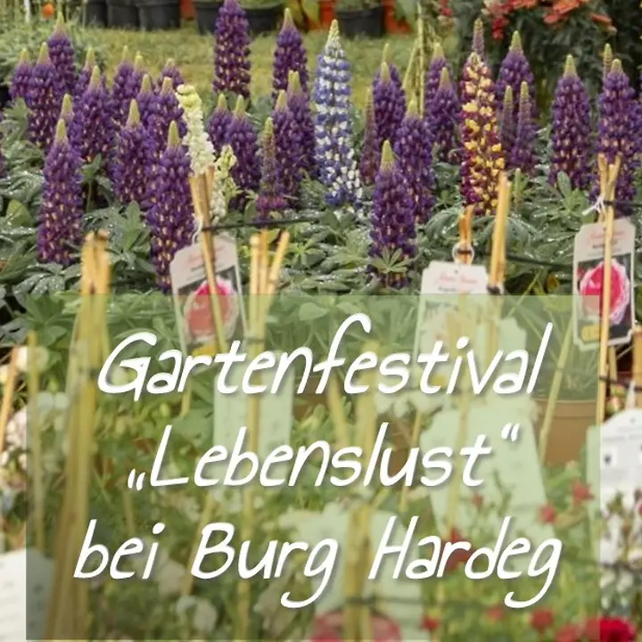 Gartenfestival "Lebenslust" Hardegsen 