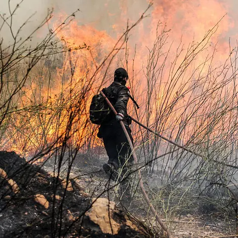 Waldbrände Folgen: Eine Einsatzkraft der Feuerwehr läuft mit einem Schlauch auf brennendes Gestrüpp zu.