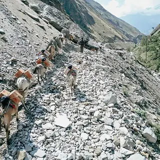 Mangelernährung in Nepal: Maultiere bringen Erdnusspaste in die Bergdörfer | © UNICEF/Upadhayay Mangelernährung in Nepal: Maultiere bringen Erdnusspaste in die Bergdörfer
