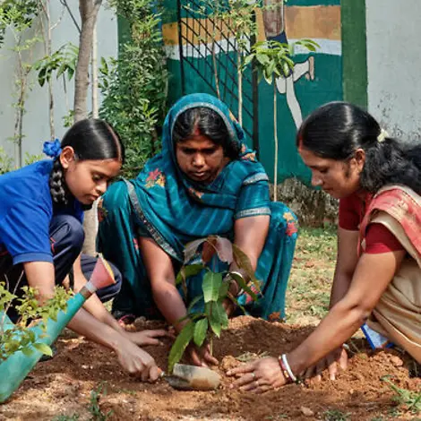 Nur wenn wir nachhaltig leben und handeln, ist in Zukunft ein gutes Leben für alle Menschen möglich. | © UNICEF/Kolari SDGs einfach erklärt: Ein Mädchen und zwei Frauen pflanzen einen kleinen Baum im Garten.