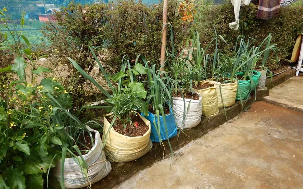 Der Nutzgarten | © UNICEF Sri Lanka Nutzgarten