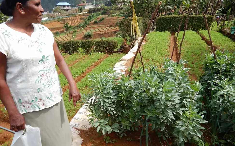 Stolz zeigt mir Dammikas Schwiegermutter den Garten | © UNICEF Sri Lanka Garten