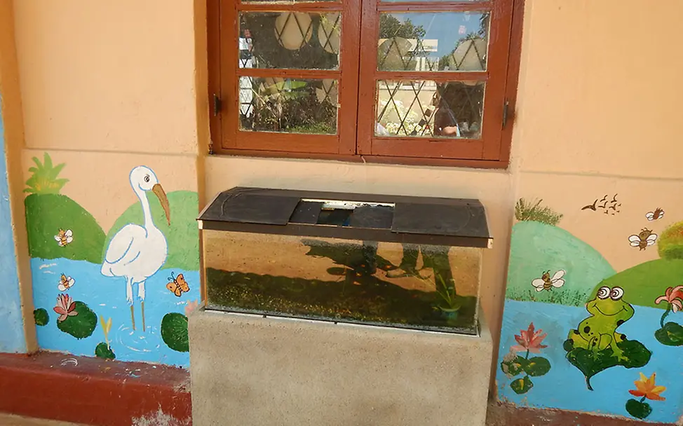 Sri Lanka: Aquarium vor dem Schulgebäude.